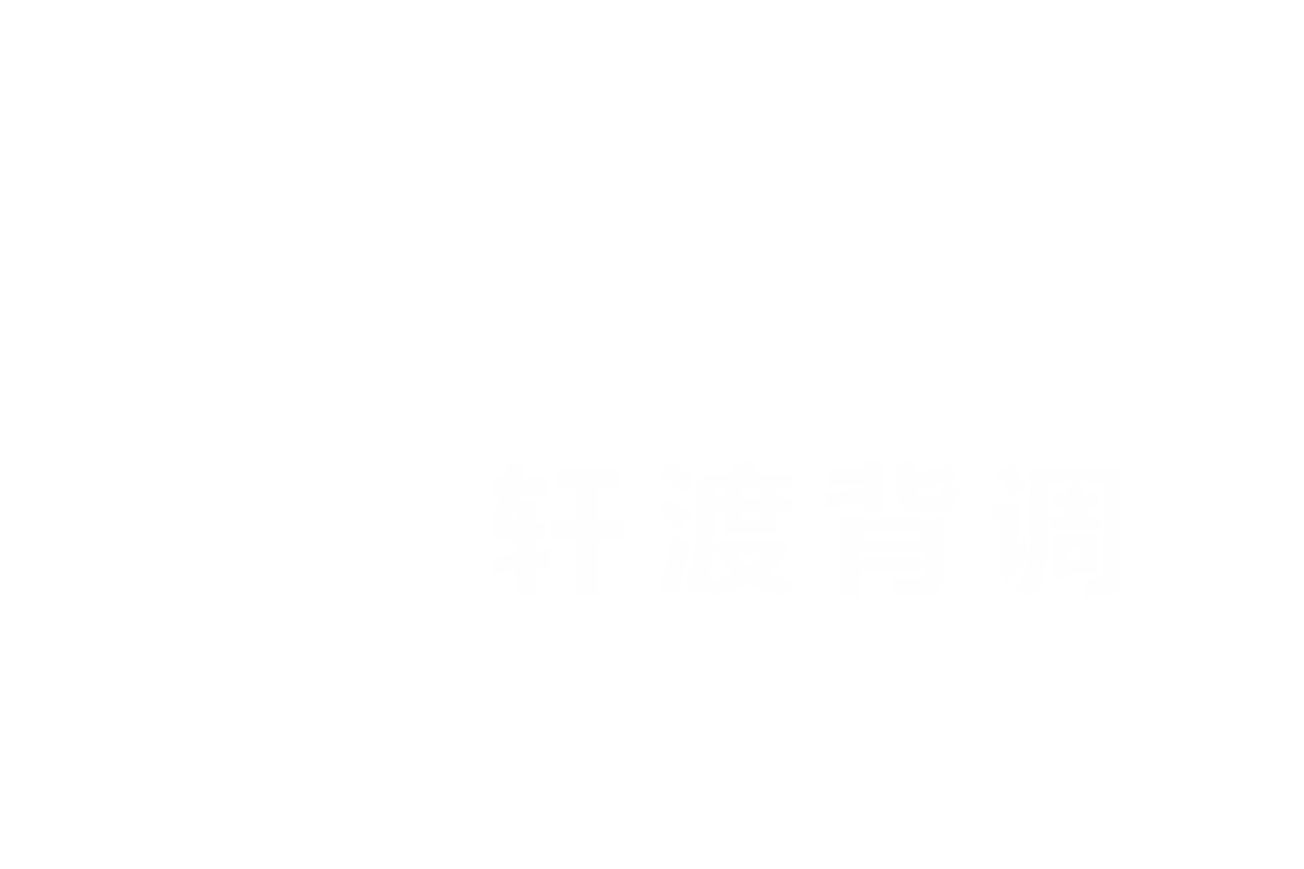 轩渡背景调查公司logo